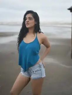 Working Girl dehradun call girl